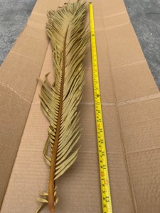 KEWEI T483 Hojas Secas de <span class=keywords><strong>Cycas</strong></span> y Palma Más Vendidas, Planta Natural de 80 cm, Decoración Boho para Bodas, Navidad y Pascua - Product Image 2