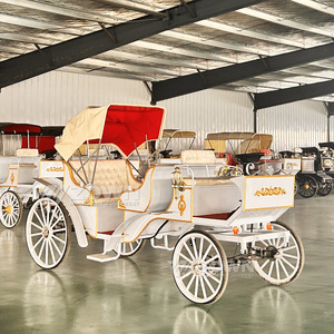 Carruaje Eléctrico de Alta Calidad con Batería, Vagoneta de 4 Ruedas para Recorridos Turísticos, Bodas al Aire Libre y Paseos por Parques - Product Image 2