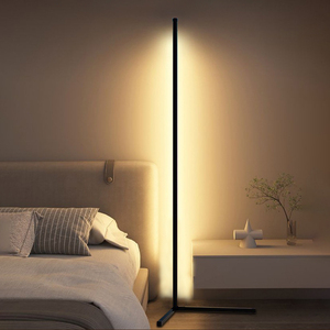 Moderna lampada <span class=keywords><strong>da</strong></span> terra a LED minimalista luce d'angolo telecomando dimmerabile lampada <span class=keywords><strong>da</strong></span> letto <span class=keywords><strong>camera</strong></span> <span class=keywords><strong>da</strong></span> letto illuminazione ambiente - Product Image 1