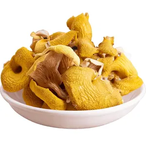 Nấm Chanterelle Tươi Khô Giá Sỉ