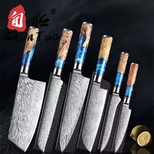 Damascus 8 "Chef Knife Set VG10 67 Lớp Thép Carbon Nhật Bản Dao Bếp Với Nhựa Màu Xanh Xử Lý