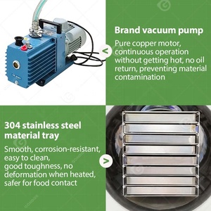 Mini Liofilizador küçük dondurarak kurutma kurutulmuş meyve kurutma avustralya ev kurutucu kuru makine gıda için - Product Image 4