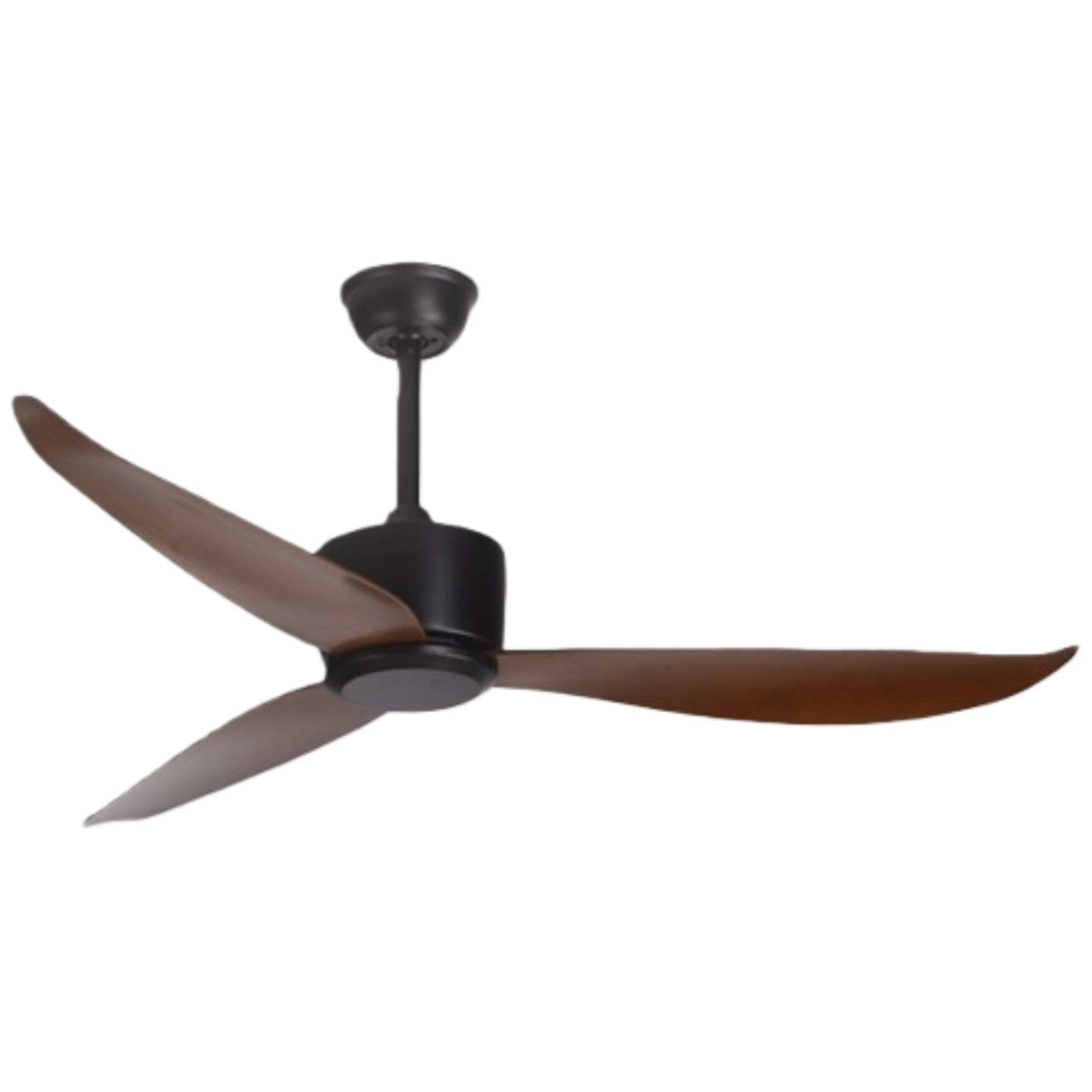 วอลนัทดำ