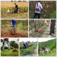 Mini-machines agricoles : Cultivateur, motoculteur, désherbeur / Désherbeur rotatif / Désherbeur manuel