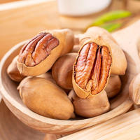 Demi-noix de pécan de qualité supérieure, décortiquées, brutes, naturelles, saveur riche et onctueuse, pour pâtisserie, collation, confiserie, vente en gros, noyaux, couleur bronzée, durée de conservation 12 mois