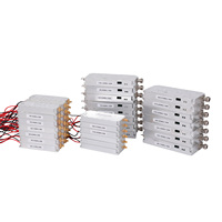 GaN 80W 4000-4900MHz RF Lora Anti Drone Module FPV Defence Module Amplificateur de puissance