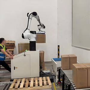 Robot Colaborativo para Paletización, Paletizador Automático de Columna Única - Product Image 2