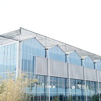 Moderne slimme multi-span Venlo-type glazen kas met hoge lichttransmissie, automatische bediening en aanpasbare afmetingen