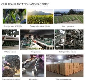 Органический Чай пуэр Юньнань, Золотой квадрат, сиу туоча, Темный чай из фарфора, специальный чай в мешках - Product Image 5