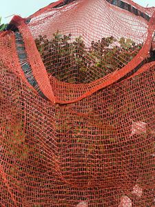 Sacs en maille violets personnalisables de haute qualité, robustes et polyvalents, pour la culture agricole, moulage par soufflage et découpe, vente en gros - Product Image 4