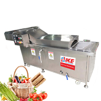 Industriële grootschalige spiraalvormige blancheringsmachine voor aardappelen, kokosvlees, snoep, en zeevruchtenverwerkingslijn, capaciteit 2000 kg/uur