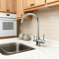 Robinet de cuisine en acier inoxydable 304 à double poignée, robinet mélangeur d'eau potable, eau chaude et froide, filtre à eau, robinet de cuisine 3 en 1