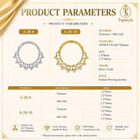 Anneau segmenté à charnière en titane G23 de qualité supérieure avec incrustation de zircone cubique taille baguette et ronde, double usage pour piercing nez et oreille