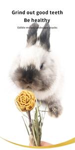 Suministros para mascotas de alta calidad, golosinas de conejo naturales, comida para Conejo, golosinas para hámster, conejo, juguete para masticar, aperitivos, pastel de hierba - Product Image 5