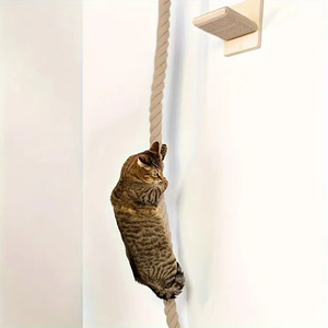 Árbol rascador de sisal montado en la <span class=keywords><strong>pared</strong></span> para gatos, poste rascador, santuario de descanso, juguetes interactivos, <span class=keywords><strong>gimnasio</strong></span> de la selva para gatos de interior - Product Image 6