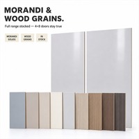 Panneaux de porte d'armoire en panneaux de fibres à densité moyenne de 18 mm, finition mate, adaptés aux cuisines et aux placards personnalisés