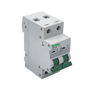 Gran disyuntor MCB de 2 polos de alta capacidad de ruptura de 36 Amp 60 Amp