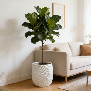 Pot de fleurs en résine à effet d'ondulation d'eau, design simple et créatif, <span class=keywords><strong>grand</strong></span> diamètre, pour plantes vertes, idéal pour Plante du paradis et Arbre de la fortune - Product Image 6