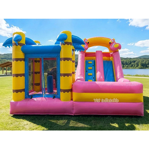 Castillos Inflables Baratos con Tobogán, Compre Castillos Hinchables en Línea para Alquiler de Eventos, Certificados como Seguros - Product Image 2