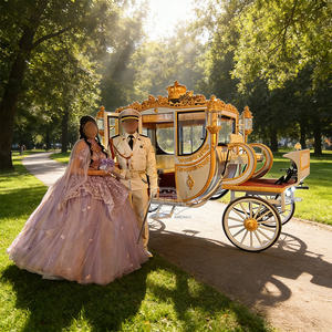 La carreta de caballos eléctrica favorita de los estadounidenses para visitar sitios turísticos al aire libre. - Product Image 4