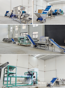 Komple Set endüstriyel sarımsak soyma makinesi endüstriyel sarımsak soyma sıralama makinesi üretim hattı - Product Image 3