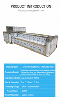 Fabrieksleverancier van abrikozen snij- en ontpitmachine, capaciteit 300-400kg/uur, fruitverwerkingsmachine, groente- en fruitmachines