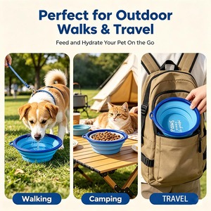 Ciotola Pieghevole in Silicone per Animali Domestici OEM/ODM, Senza BPA, Portatile per Cani e Gatti, Ideale per Viaggi e Uso Esterno - Product Image 2
