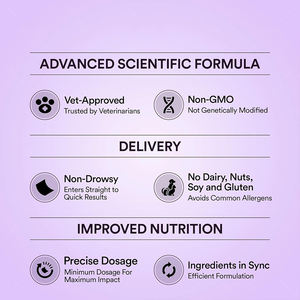 OEM/ODM Bandes orales apaisantes pour animaux de compagnie, à dissolution rapide, sans sucre, à base d'ingrédients naturels, pour favoriser le sommeil et soulager l'anxiété et le stress. - Product Image 5