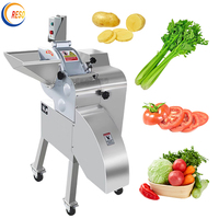 Elektrische Commerciële Snijmachine Voor Groenten En Fruit