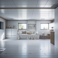 Boîte d'expansion à double aile en acier, conteneur écologique, design moderne du milieu du siècle, étanche, ignifuge, résistant aux tremblements de terre