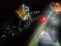 Dispositif d'alignement laser équipement de mesure de niveau de voie ferrée