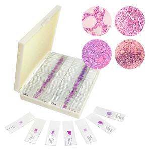 Diapositivas patológicas 100PCs Set FRT2002 Educación superior para estudiantes Diapositivas biológicas Recursos de enseñanza de patología preparados - Product Image 1