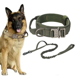 Correa de Perro Elástica con Amortiguación de Impactos, Mango Acolchado de Nailon, Ajustable, para Pasear Mascotas - Product Image 1