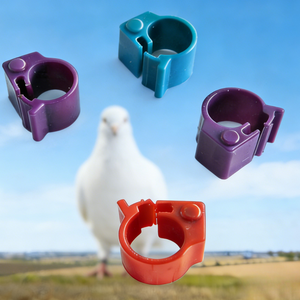 Anello Elettronico RFID per Piccioni da Corsa, Fascia per Piede per Identificazione e Tracciamento 125KHz - Product Image 1