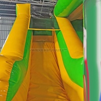 Glissière gonflable de combo de maison de jeu de rebond 4 n1 à vendre