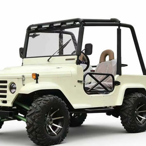 Vente Flash : Buggy Classique à Essence 250cc Personnalisable – Mini Jeep à Quatre Roues - Product Image 1