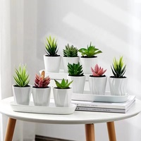 Pot