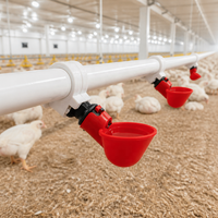Abreuvoirs automatiques robustes pour volailles GUANYI FARM – Vente en gros pour pigeons, cailles et poulets