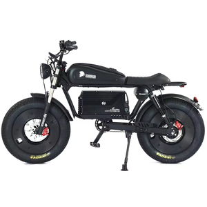 Vélo Électrique Fatbike de Montagne Sting Electrically City, Design Tendance, Modèle SK-2 0em, Stock Prêt à l'Expédition depuis l'Entrepôt US - Product Image 1