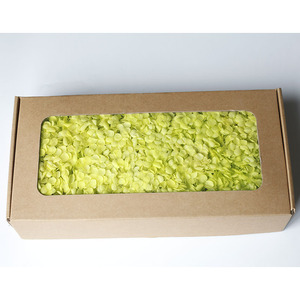 Pétalos de Hortensia <span class=keywords><strong>Annabelle</strong></span>, Caja de 100g, Flores de Hortensia Secas Preservadas con Tallo Corto para Arreglos Florales, Día de la Madre - Product Image 2