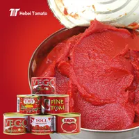 Produsen Pasta Tomat Timah 70G Makanan Sehat Dalam Kaleng