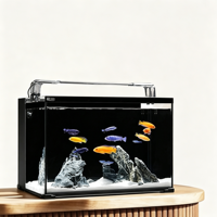 Aquarium de bureau en verre de 40 cm avec filtre arrière et éclairage LED pour l'aquascaping d'eau douce