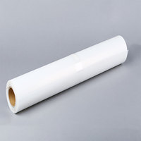 Rollo de Película de Poliéster Mylar Impermeable de 100 Micras para Dibujo Técnico, Impresión y Diseño CAD