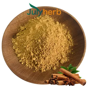 Julyherb OEM Natural Factory Supply 5:110:1 polvo de extracto de corteza de canela