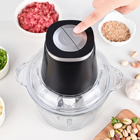 Penggiling Makanan 300W Model Terbaru dengan Wadah Kaca 2L untuk Penggiling Daging Peralatan Rumah Tangga