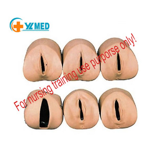 Mô hình đào tạo y tế sử dụng mô hình chăm sóc cổ tử cung và đường sinh cho mục đích giảng dạy phụ khoa và sản khoa - Product Image 1