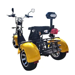 EEC COC en iyi elektrikli kapalı yol 3 tekerlekli elektrikli scooter motosiklet üç tekerlekli bisiklet 2000w triciclo 3 tekerlekli motosiklet