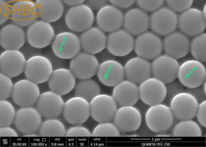 Perles magnétiques fonctionnelles à la streptavidine : performance constante par lot pour la recherche scientifique en biologie - Product Image 4