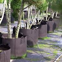 Sacs de culture de grande capacité, pots de plantes en tissu résistant pour la serre de jardin