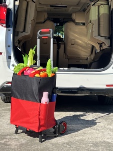 Chariot à main pliable pour bagages et marchandises en acier d'aluminium FW-90SE SHUNHE, 60 kg, empilable, avec sac de <span class=keywords><strong>shopping</strong></span>, vente chaude - Product Image 3